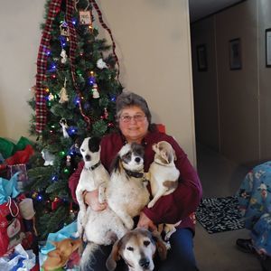 Meet your Posher, Dawn